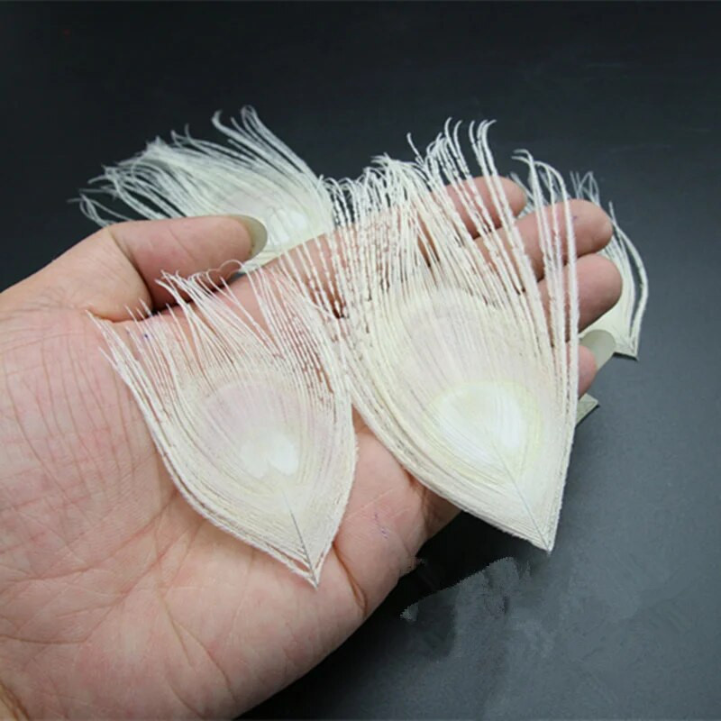 10 vnt / partija Baltos povo plunksnos akių rankdarbiai 10-15cm 4-6" tikros povo plunksnos papuošalams gaminti auskarai.