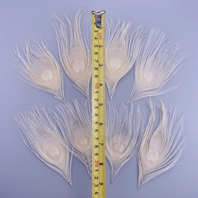10 vnt / partija Baltos povo plunksnos akių rankdarbiai 10-15cm 4-6" tikros povo plunksnos papuošalams gaminti auskarai.