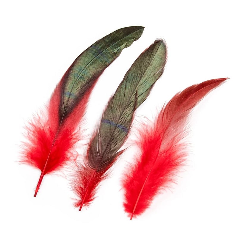 50 vnt. Natūralios gaidžio/vištienos plunksnos 13-18 cm, skirtos vestuvėms, pasidaryk pats papuošalai, karnavalų dekoravimo priedai, amatai.