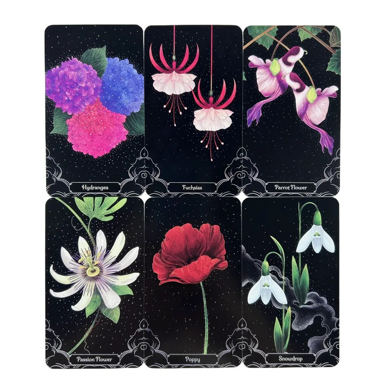 Mazs lietus 50 kāršu botāniskais orākuls Tarot angļu vīzijas zīlēšanas izdevums klāja Borad spēles