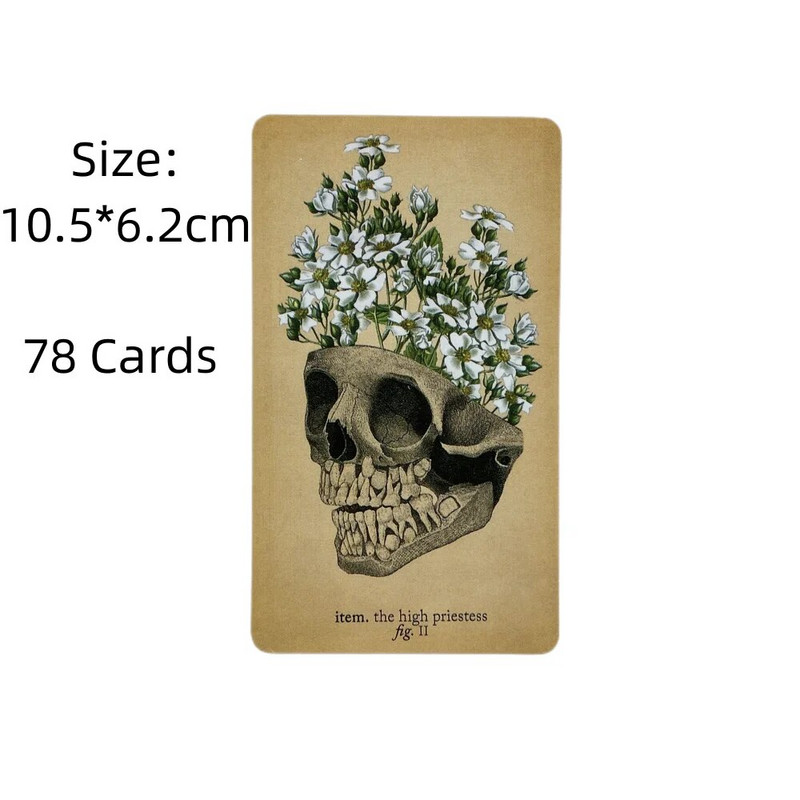 Antiikse anatoomia tarokaartide pakk täis inglise keele seksuaalmaagia oraakli ennustamine, saatus perekonna peolauamäng
