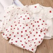 2024. gada pavasaris, rudens