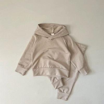 Jesenska odjeća za bebe 2023. Dječji kompleti od 100% pamuka Dječaci Djevojčice Proljetna trenirka Hoodie+hlače Kompleti od 2 komada za dječju odjeću