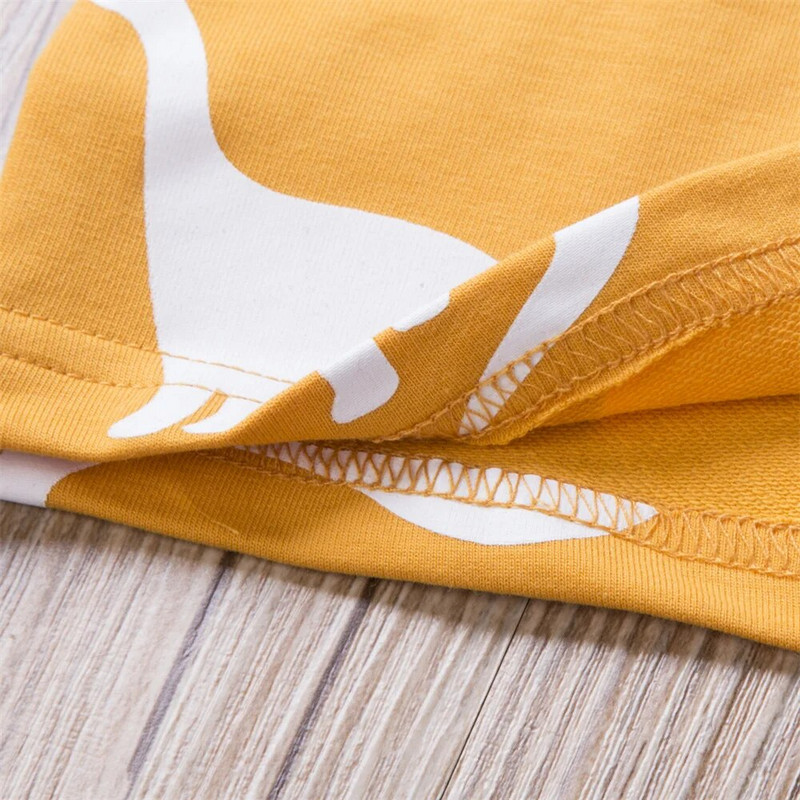 Komplet odjeće za dječake, majice s printom dinosaura, majice s dugim rukavima, hlače, hlače od 0 do 3 godine, novorođenčad, mala djeca, odjeća za proljeće i jesen