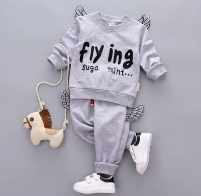 Korejiešu stila zīdaiņu meiteņu apģērbu komplekti 2023. gada modes zēnu meiteņu kapuces ar spārnotiem burtiem un bikses sporta tērpi bērniem zīdaiņu tērpiem