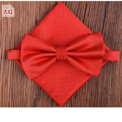 Meeste Kikilipsu komplekt Pocket square Butterfly 2019 New Fashion Paljud värvid Kikilipsu rätikuga salvrätikud corbatas hombre Cravat