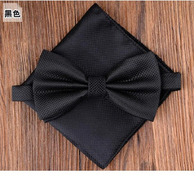 Meeste Kikilipsu komplekt Pocket square Butterfly 2019 New Fashion Paljud värvid Kikilipsu rätikuga salvrätikud corbatas hombre Cravat