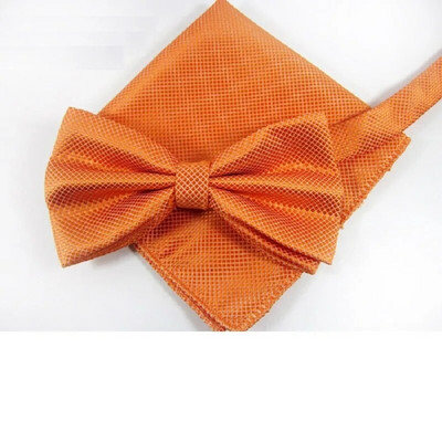 Meeste Kikilipsu komplekt Pocket square Butterfly 2019 New Fashion Paljud värvid Kikilipsu rätikuga salvrätikud corbatas hombre Cravat