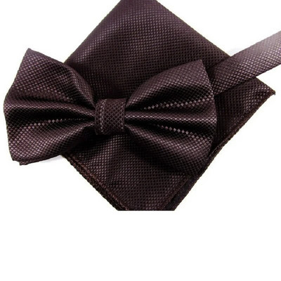 Meeste Kikilipsu komplekt Pocket square Butterfly 2019 New Fashion Paljud värvid Kikilipsu rätikuga salvrätikud corbatas hombre Cravat