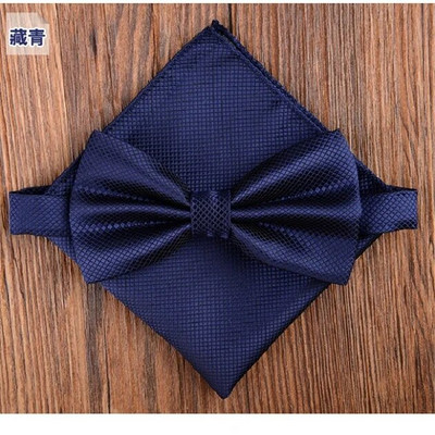 Meeste Kikilipsu komplekt Pocket square Butterfly 2019 New Fashion Paljud värvid Kikilipsu rätikuga salvrätikud corbatas hombre Cravat