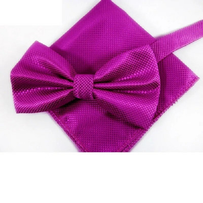 Meeste Kikilipsu komplekt Pocket square Butterfly 2019 New Fashion Paljud värvid Kikilipsu rätikuga salvrätikud corbatas hombre Cravat