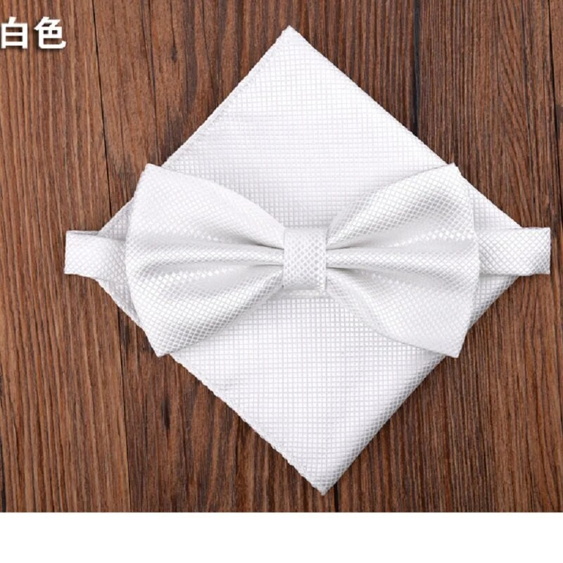 Meeste Kikilipsu komplekt Pocket square Butterfly 2019 New Fashion Paljud värvid Kikilipsu rätikuga salvrätikud corbatas hombre Cravat