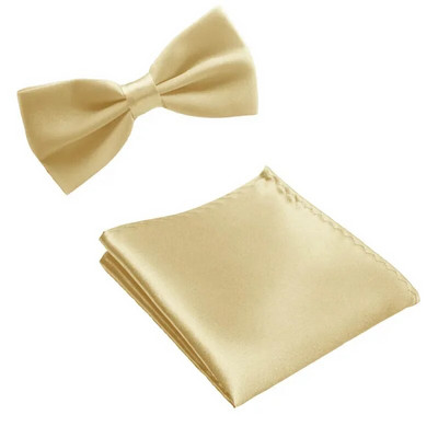 Set de 2 bucăți BĂRBAȚI ADULTI Papionițe colorate Accesorii pentru batistă de afaceri de cravată Cravată de buzunar pentru nuntă NOU Petrecere FB141