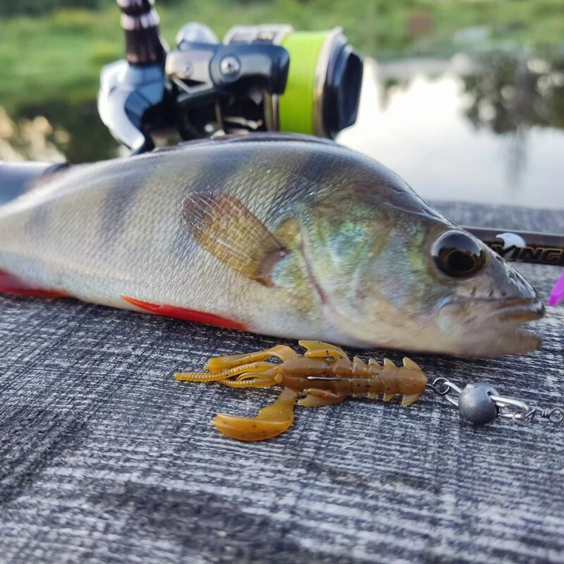 Supercontinent Crazy Lures 65mm/10tk 40mm/20tk Pehme peibutis peibutis krevett homaar Pehmest plastist peibutis kalapüügi landid