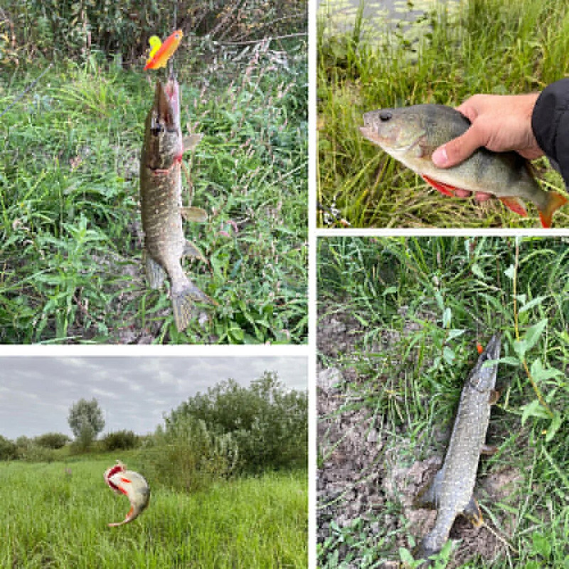 Mīkstas ēsmas makšķerēšanas mānekļi 80 mm/14 g 90 mm/9,5 g mākslīgi grimstoši peldēšanas lāpstiņas astes džiga galvas makšķerēšanas piederumi. Preces jūras asariem