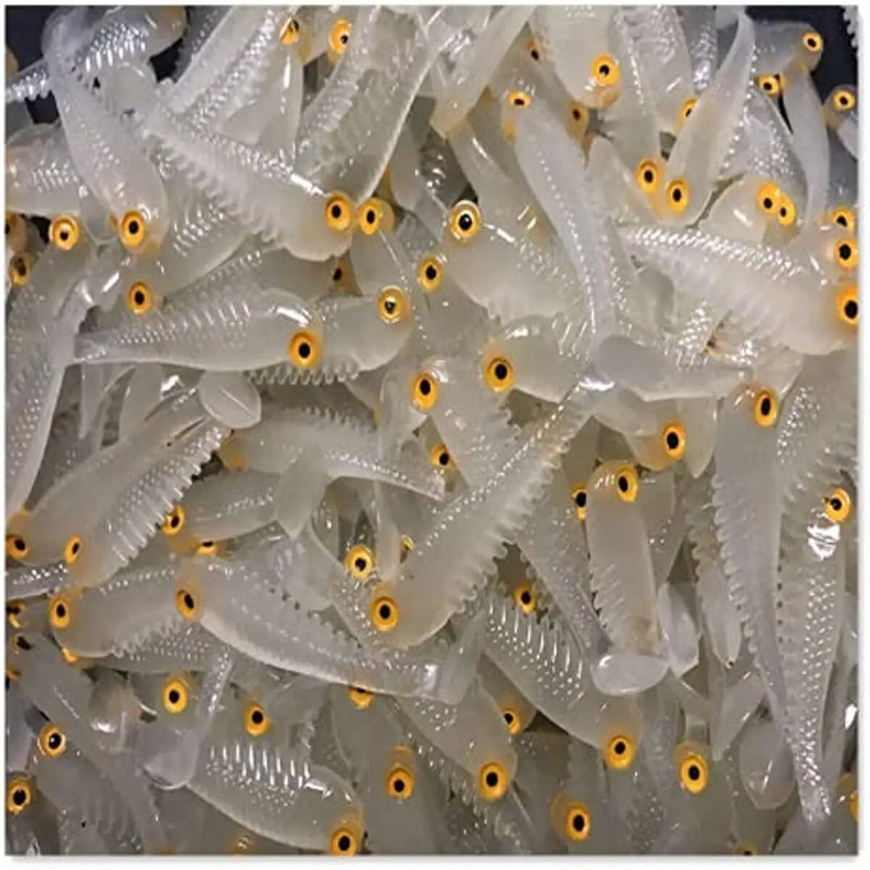 5Gb Mīkstas ēsmas makšķerēšanas mānekļi 5,5 cm/7 cm 1,2 g/2,8 g mākslīgi kustīgi peldoši Pva Swimbait Paddle Tail Makšķerēšanas piederumi