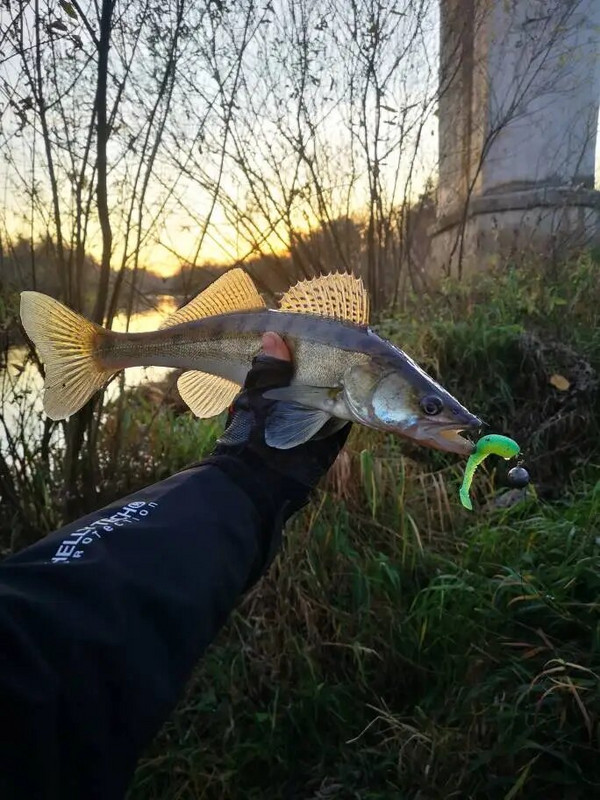 Superkontinenta makšķerēšanas mānekļi 5cm 8cm 9,5cm 11cm mākslīgās ēsmas Vobleri mīkstie mānekļi Shad karpu silikona makšķerēšanas ēsmas