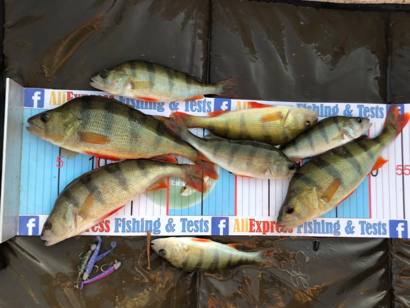 2019 Supercontinent 50mm 80mm 95mm 110mm makšķerēšanas mānekļi mīksts māneklis Mākslīgā ēsma Predator Tackle līdakām un līdakām