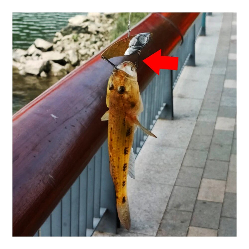 2/4/6/8/10/12# Luya Dvostruka udica DIY modifikacija Neobješeno dno Boda od visokougljičnog čelika Tvrdi mamac Dodaci za meke mamce