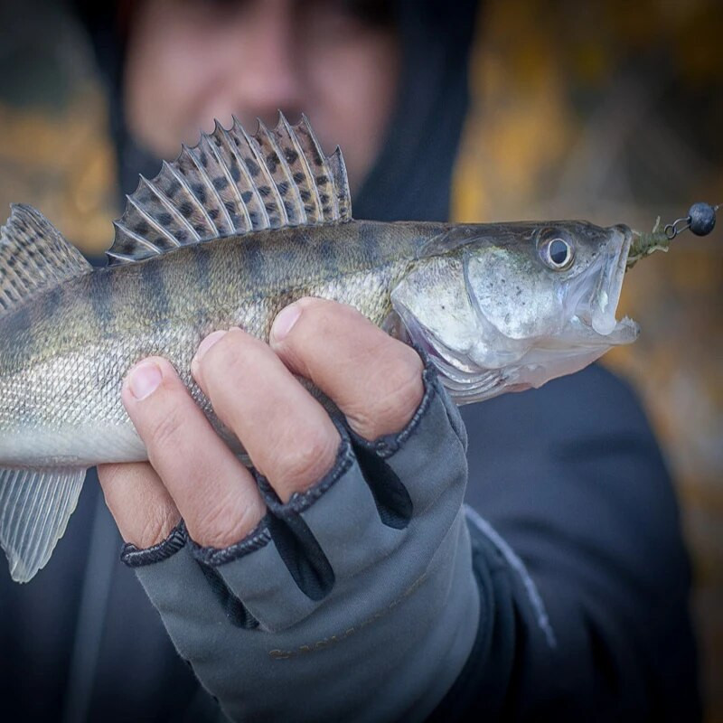 BEARKING Larva Soft Lures 50mm 75mm 100mm mākslīgie mānekļi Makšķerēšanas tārps Silikona Bass Pike Minnow Swimbait Jigging Plastmasas ēsmas
