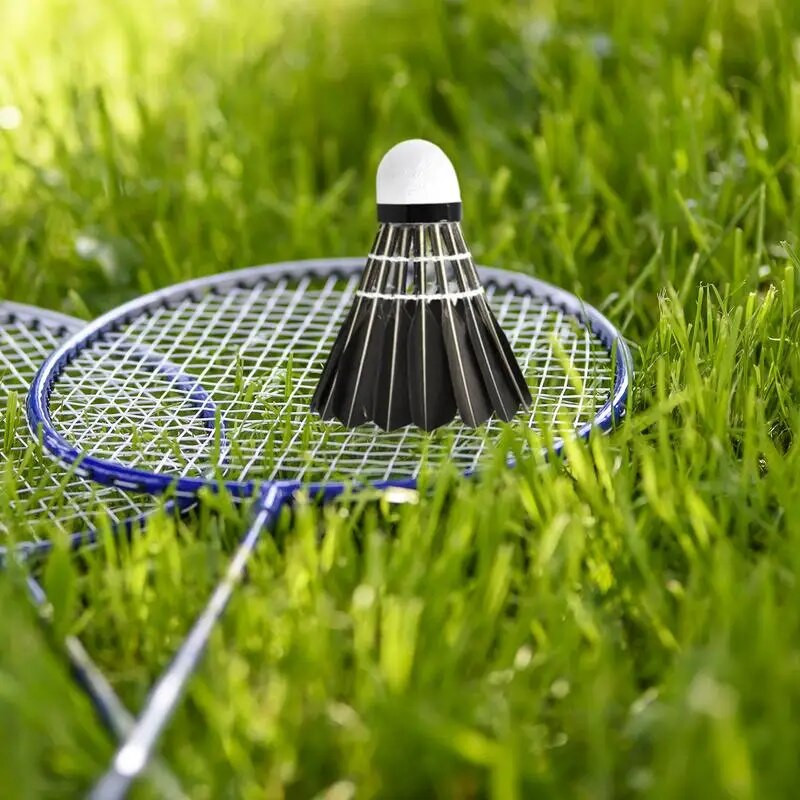 12GB Badmintona Shuttlecocks Black Gooses Spalvas Badmintona Bumbiņas Badmintona Sporta Treniņiem Izturīgs Stabila Ātruma Shuttlecock