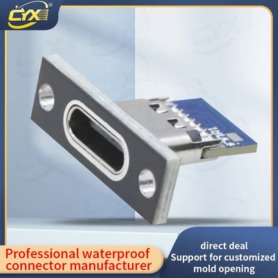 Type-C USB Jack 3.1 Type-C 2Pin 4Pin Female Connector Jack Charging Port USB 3.1 Type C Socket With Screw fixing plate