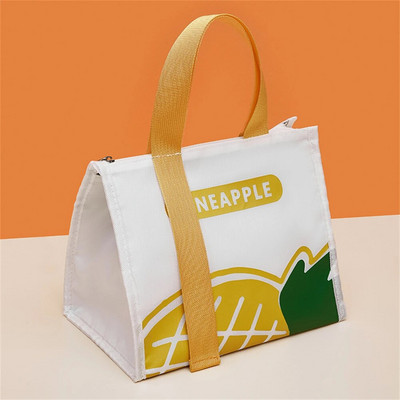 Fashion Insolated τσάντες γεύματος για άνδρες Γυναικεία Organizer Πρωινό κουτί αδιάβροχο κάμπινγκ Τροφίμων ποτών Cooler Τσάντα για πικνίκ Ταξίδι