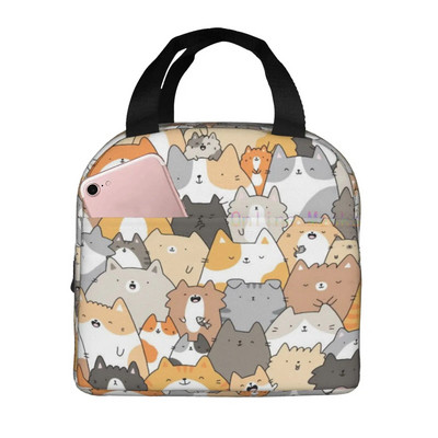 Kaķu pusdienu soma, jauks bērnu atkārtoti lietojams dzesētājs pusdienu soma, izolēts, necaurlaidīgs pusdienu kastes konteiners ar priekšējo kabatu meitenēm, zēniem