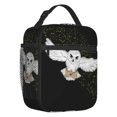 Raganu raksta izolēta pusdienu soma sievietēm Helovīna okultās gotikas burvju resuable termiskais dzesētājs Bento Box bērnu skola