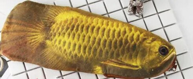 Penālis Fish 3D simulācija Gold Arowana plīša zīmuļu soma liela ietilpība rāvējslēdzēja kancelejas piederumu soma Radoša studentu kancelejas preces