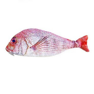 Creative Fish Penālis Lielas ietilpības zīmuļi Soma Smieklīgi skolas zīmuļu futrāļi Kancelejas piederumi Kawaii zīmuļu futrālis