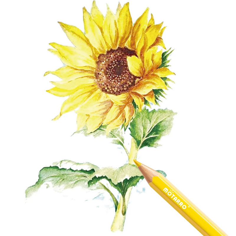 MOTARRO 12vnt spalvotų pieštukų rinkinys Akvareliniai piešimo pieštukai Mokykliniai biuras Rašymas Kanceliarinės prekės Piešimo eskizų piešimo meno reikmenys