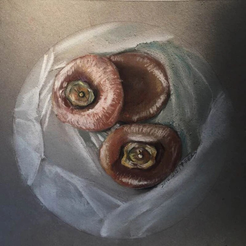 Επαγγελματικά 12 χρώματα Skin χρωματιστά μολύβια σετ Πορτραίτο Χρώμα Σχέδιο με κάρβουνο Σχολικές προμήθειες για καλλιτέχνη