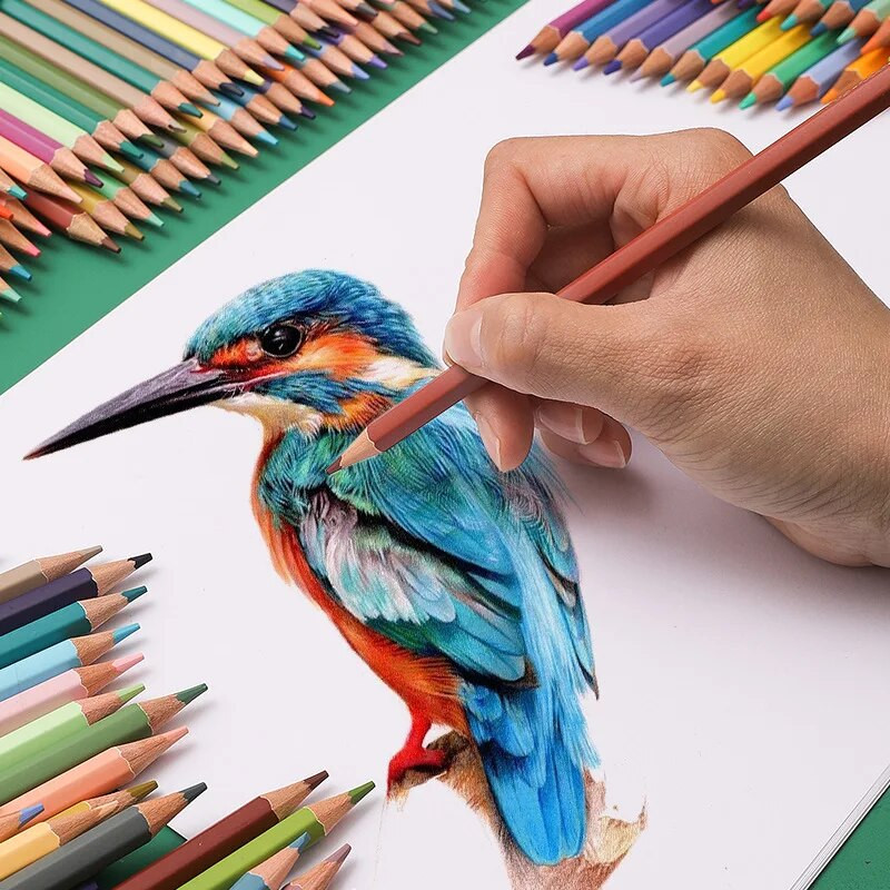 Ādas krāsas zīmuļi 24/36/48 Krāsaini zīmuļi Rotaļlieta Macaron zīmuļi Profesionāli zīmēšanas zīmuļu komplekts Skicēšanas mākslas piederumi