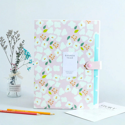 A4-formaadis mitmekihiline kausta nupp failikott failikott kommivärvi viie ruudustikuga oreli kott, suure mahutavusega Korea lihtsad kontoritarbed