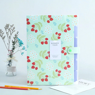 A4-formaadis mitmekihiline kausta nupp failikott failikott kommivärvi viie ruudustikuga oreli kott, suure mahutavusega Korea lihtsad kontoritarbed