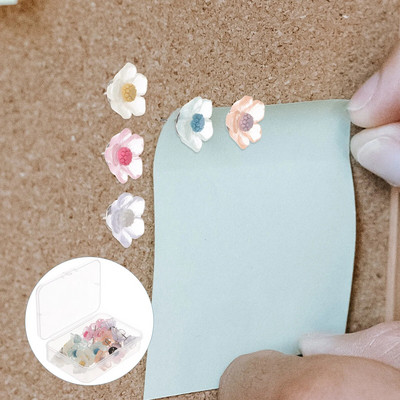 20 gab. Ziedu piespraudes Karte Naglas Atkārtoti lietojamas Spraudītes Maināmas īkšķa spraudītes Pārnēsājams birojs Daudzfunkcionāls delikāts