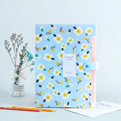 Suure mahutavusega Korea kirjatarbed Lihtne mitmekihiline võrekott Kontori kausta orelifail viievärviline nupp