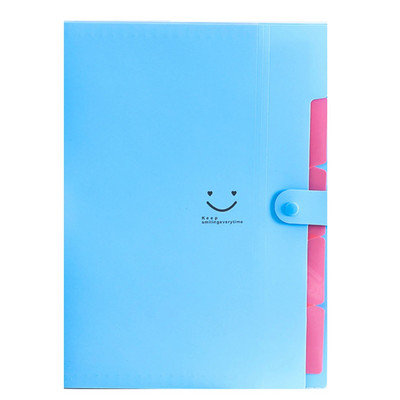 Χαριτωμένος φάκελος για έγγραφα Α4 με 5 τσέπες Ανθεκτικό γραφείο Organizer Χαρτικά Γραφείο Σχολείο Φάκελος Αρχείο Φάκελος Φάκελος Φοιτητών