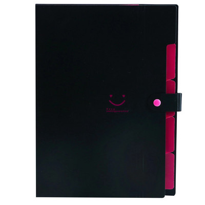 Χαριτωμένος φάκελος για έγγραφα Α4 με 5 τσέπες Ανθεκτικό γραφείο Organizer Χαρτικά Γραφείο Σχολείο Φάκελος Αρχείο Φάκελος Φάκελος Φοιτητών