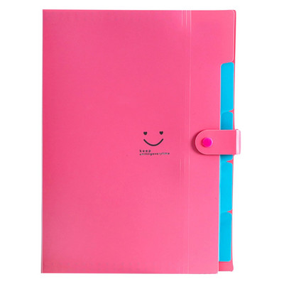 Χαριτωμένος φάκελος για έγγραφα Α4 με 5 τσέπες Ανθεκτικό γραφείο Organizer Χαρτικά Γραφείο Σχολείο Φάκελος Αρχείο Φάκελος Φάκελος Φοιτητών