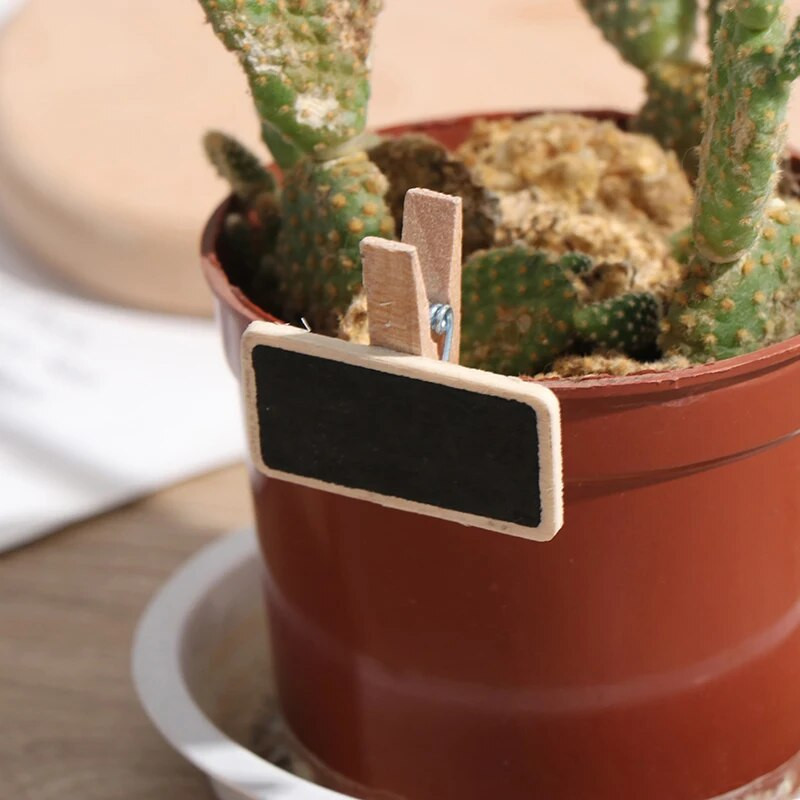 50 Μίνι μαυροπίνακας ξύλινος μήνυμα σχιστόλιθος ορθογώνιο κλιπ κλιπ πάνελ καρτών υπομνήματα ετικέτα μάρκα τιμή αριθμός θέσης