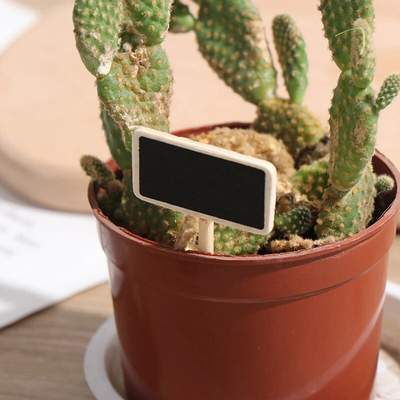 50 Μίνι μαυροπίνακας ξύλινος μήνυμα σχιστόλιθος ορθογώνιο κλιπ κλιπ πάνελ καρτών υπομνήματα ετικέτα μάρκα τιμή αριθμός θέσης