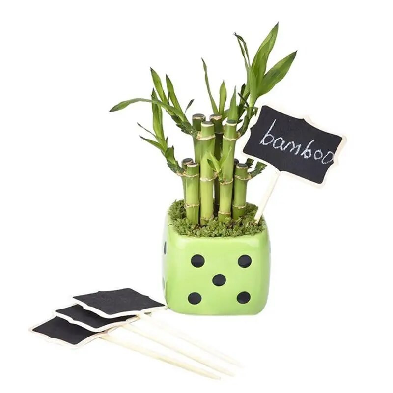 10gab 6x8cm Mini tāfeles tāfele ziņojumu dēļa izkārtnēm Tāfele Cenu birkas Augu birkas tāfele