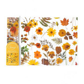 Semn de carte pentru plante, PVC, semitransparent, pentru cărți de lectură, marcatori pentru pagini cu flori retro, articole de papetărie, rechizite școlare, cadou pentru femei, fete