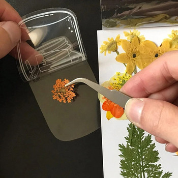 30 τμχ Διαφανείς σελιδοδείκτες αποξηραμένων λουλουδιών DIY Χειροποίητα σήματα βιβλίων Γυαλικά Αυτοκόλλητα Κλιπ σελίδας λουλουδιών Χωρίς χαρτικά λουλουδιών