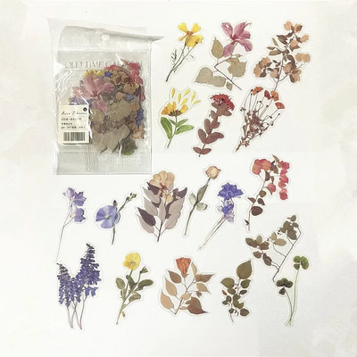 40 τμχ/σακούλα Vintage φύλλα Ginkgo λουλούδια PET αυτοκόλλητο πακέτο αυτοκόλλητων ετικεττών DIY διακοσμητικό ημερολογίου άλμπουμ scrapbooking