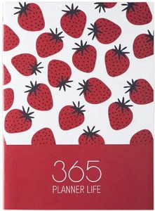 Fashion DIY 365 Days Planner Organizer A4 bloknotas Mėnesio savaitės tvarkaraščio rašymo knyga be laiko apribojimų