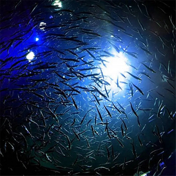 Мини светлина за примамка за риба LED Deep Sea Drop Underwater Tackle Fishing Squid Lure Light 6cm Lamp Tools Подводни мигащи светлини