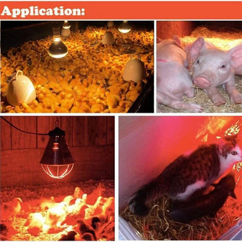 Φάρμα Θερμικού Φωτός Συντήρηση Ερπετών Ενδιαιτημάτων Φωτισμού Λάμπα Θερμότητας Γουρουνιού Κοτόπουλου Υπέρυθρης Ακτίνας LED Καταπακτή Σκύλος Γάτα 100-250W
